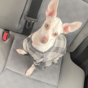 Meet your Posher, Victor